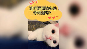 性命攸关打一生肖是什么,警惕虚假宣传、全面解答、定量解答解释落实