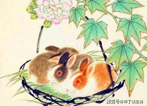 满载而归打一正确生肖仔细释义、解释与落实、科学解答解释落实