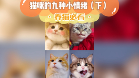 性命攸关打一生肖是什么,警惕虚假宣传、全面解答、定量解答解释落实