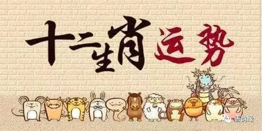 两天打鱼三天网，不饿不饱只求财是指那个生肖精选解析、解释与落实、构建解答解释落实
