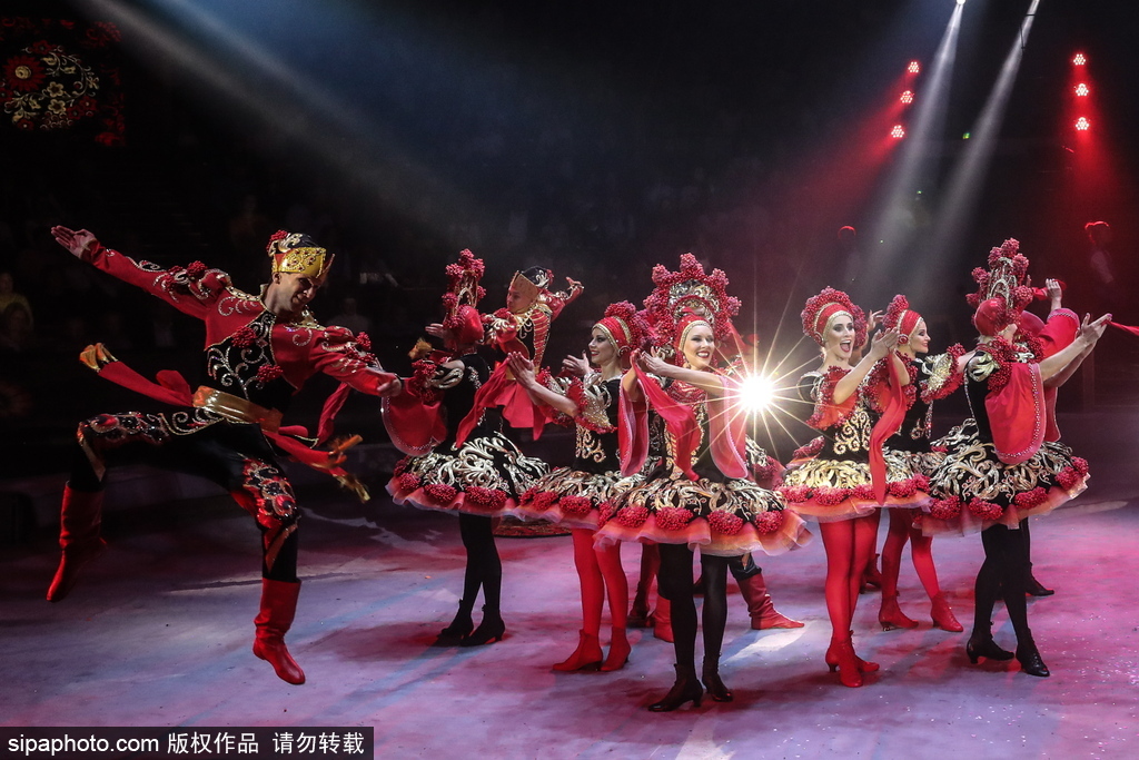 生活迫人，拦食要緊，表演馬戲為娱賓打一正确生肖，详细解答、前沿解答解释落实